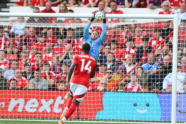 从常规赛起 从常规赛起