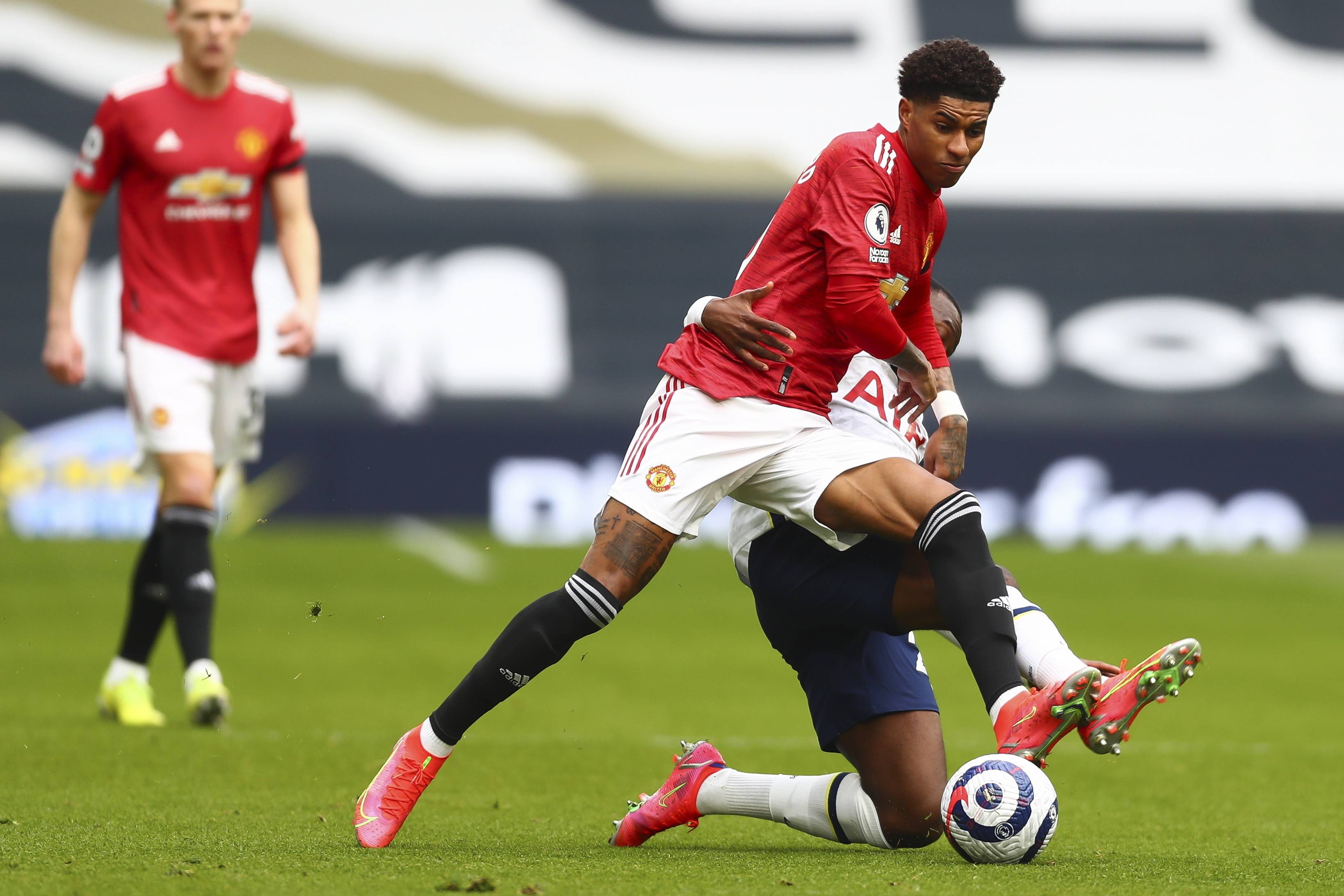 与此形成鲜 与此形成鲜